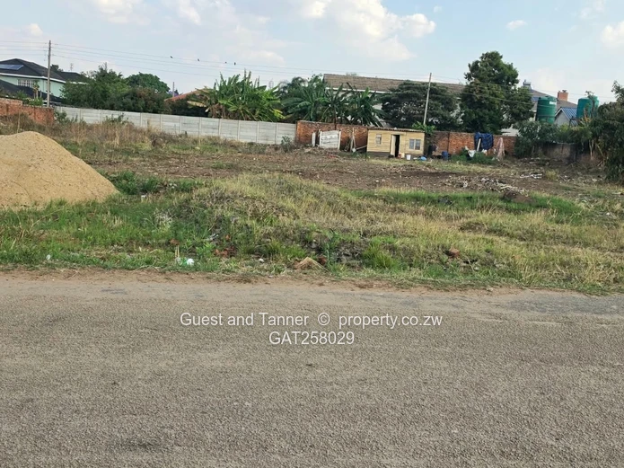 A Choice Of 2 Stands For Sale In Westgate