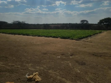 Farm & Agricultural Land