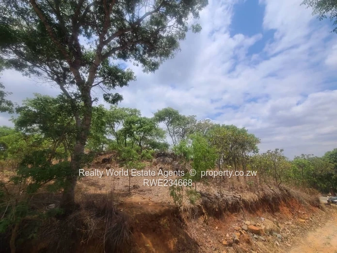 Glen Lorne 1.6ha Prime Land - Main Road Frontage