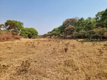 Farm & Agricultural Land