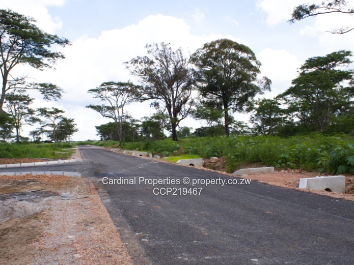 Bridgewood – Premium Mixed-Use Development in Gweru, Zimbabwe