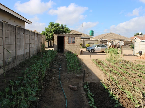 Stands & Residential Land