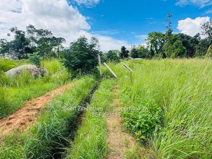 Hatfield Residential Land: Ready for Cluster Development  (Sole Mandate)