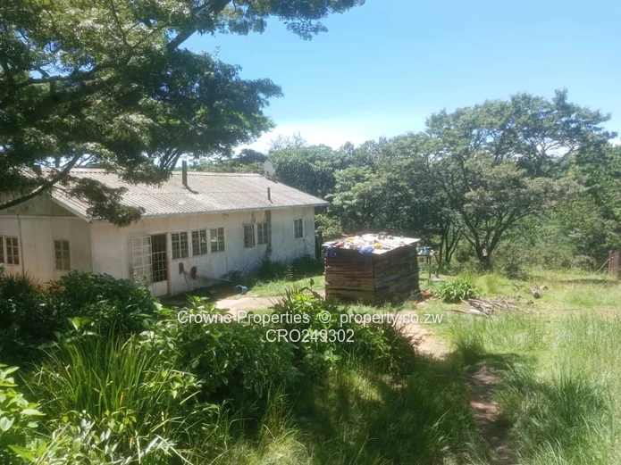 Plot For Sale