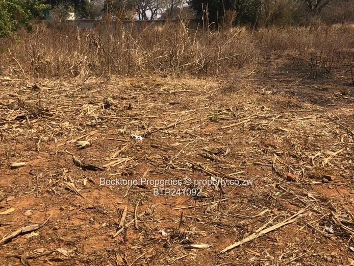 Charming Buena Vista Cottage For Sale