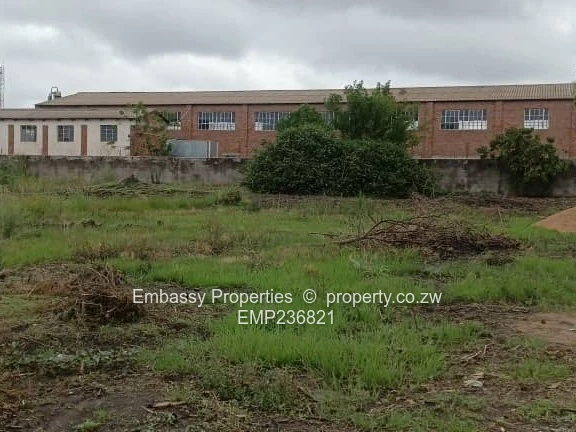 Taken by first viewer