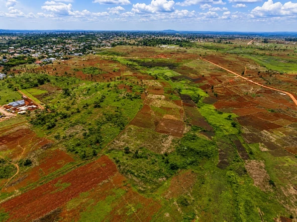 Stands & Residential Land