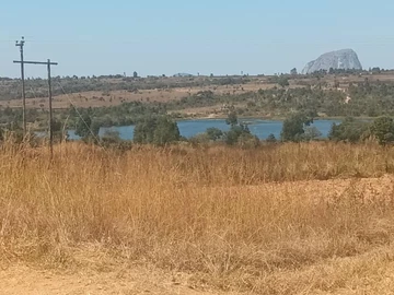 Farm & Agricultural Land