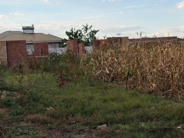 Stands & Residential Land