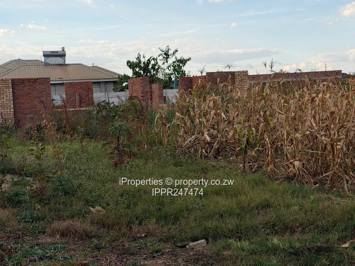 1050 sqm Stand with Incomplete Cottage for Sale in Prime Diamond Park, Sandton!