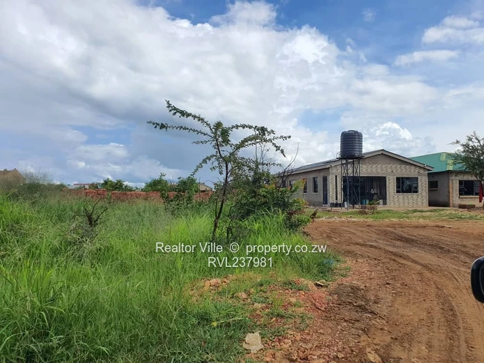 300m² Kadoma Stand — Main Road Frontage, Subdivision Potential (Sole Mandate)