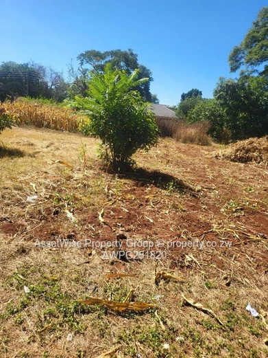 Residential Stand for Sale in Greendale