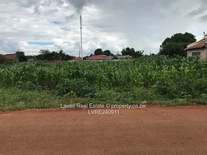 Space, Serenity, and Suburban Bliss on 3,100sqm in Mount Pleasant Heights