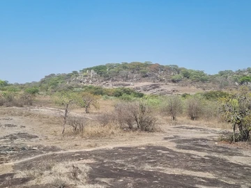 Farm & Agricultural Land