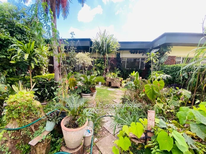 A rare opportunity to secure a neat, well-serviced garden apartment in Avondale.