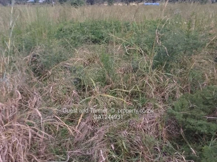 Residential Stand For Sale In Greenhill Bindura