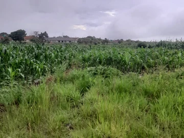 Chipukutu Ruwa Vacant Residential Stand For Sale! ??