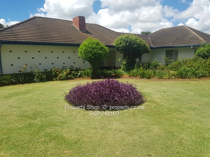 Family Home with a Cottage!