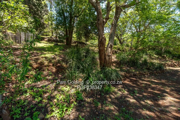 Greystone Park – Prime 4,523sqm Property For sale (Sole Mandate)