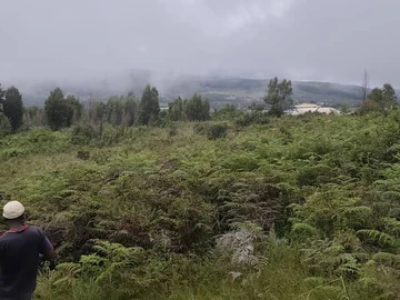 Land