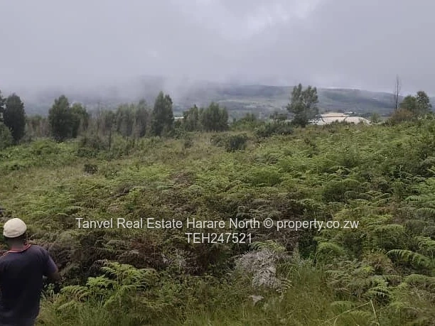 *NYANGA 5 HECTARES PLOT FOR SALE.*  10 mins drive from PACKSHADE INN 