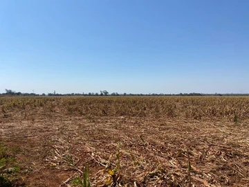 Farm & Agricultural Land