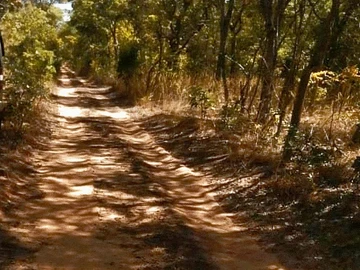 Farm & Agricultural Land