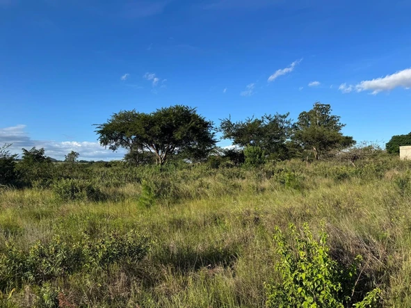 Commercial & Industrial Land