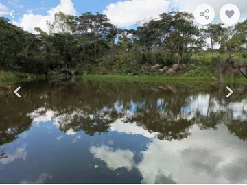 Farm & Agricultural Land