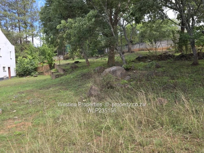 Grand 6 bedroom home with huge potential