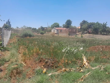 Stands & Residential Land