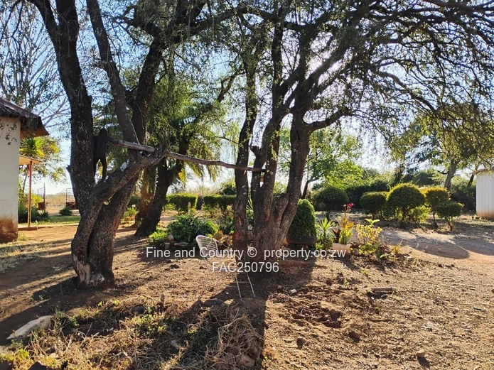  5.8 Acre Plot For Sale – Woodville
