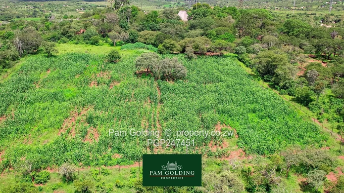 Stunning Agro-Residential Property for sale in Matabeleland Douglasdale 