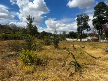 Commercial & Industrial Land