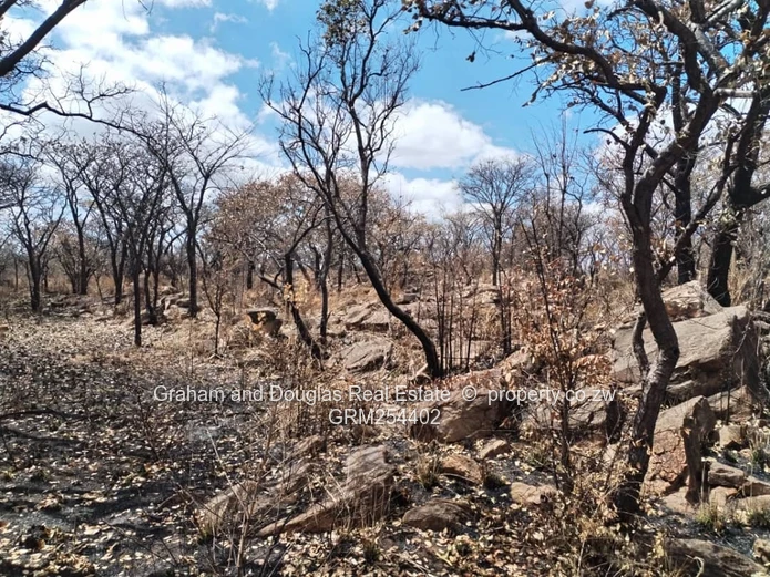 Bulawayo Fortunes Gate pieces of land for sale