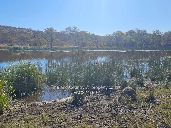 Fully functional Mangwe Farm -1,718ha Cattle Ranch with Paddocks, Homestead & Water Infrastructure.