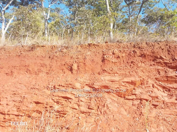 Gletwin Park stand for sale 