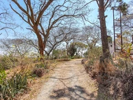 Farm & Agricultural Land