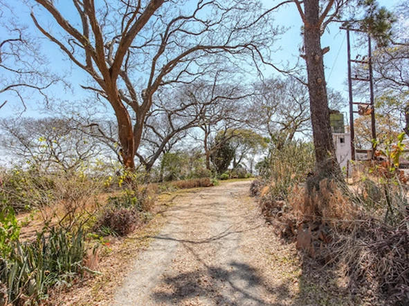 Farm & Agricultural Land