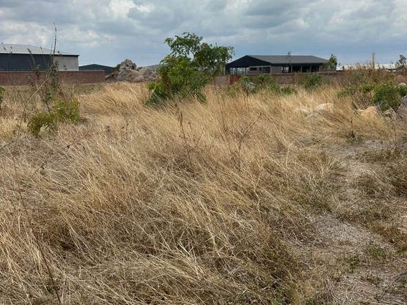 Commercial & Industrial Land