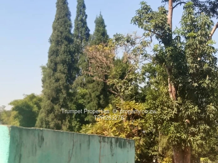 Westwood: 3-Bed Home on 4500m² with Green Cottage