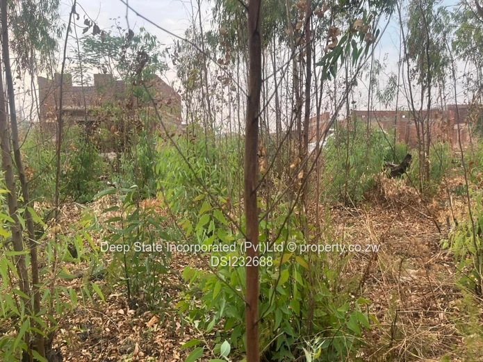 Cold comfort stand for sale (Gated community) 