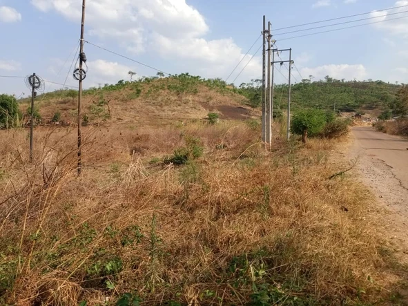 Stands & Residential Land