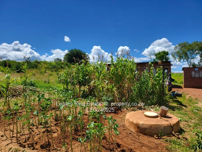 Granary Phase 3 Extension: 300 sqm Stand with Built-Up Area for Sale