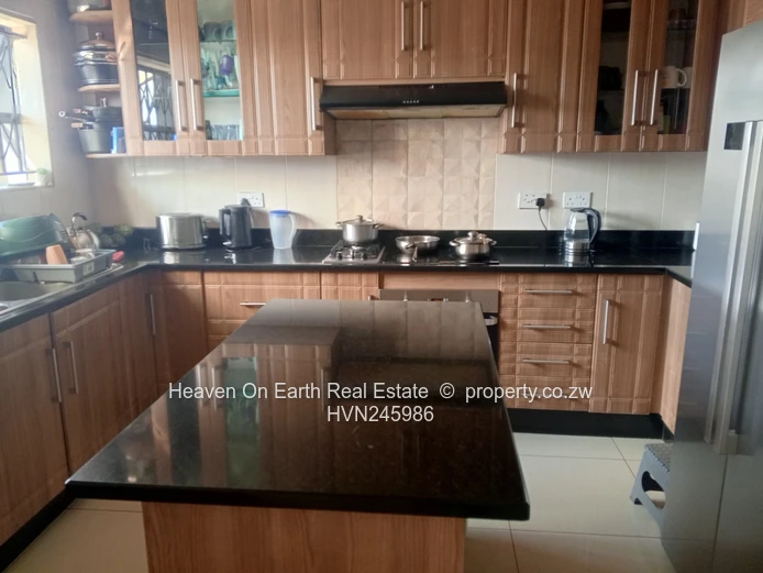 Elegant Home in Springvale with Modernist design 