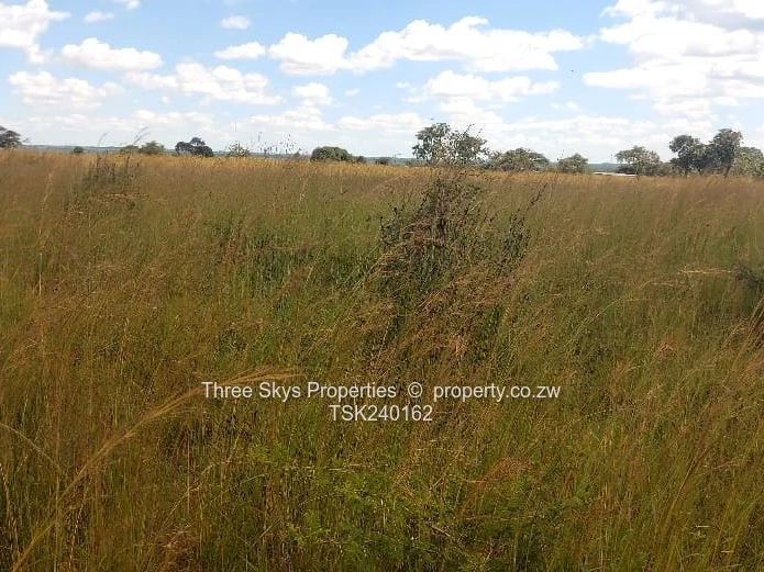 Just After Toll Goromonzi Tolgate