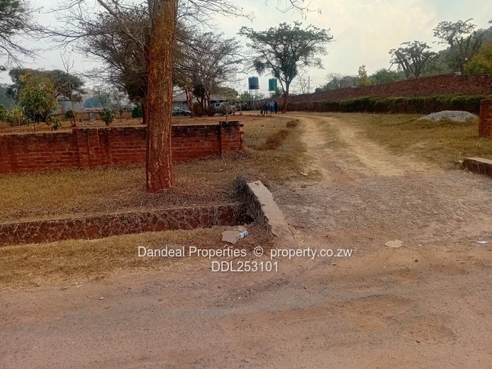 2000m² Carrick Creagh Stand — Main Road Frontage, Tarred Access