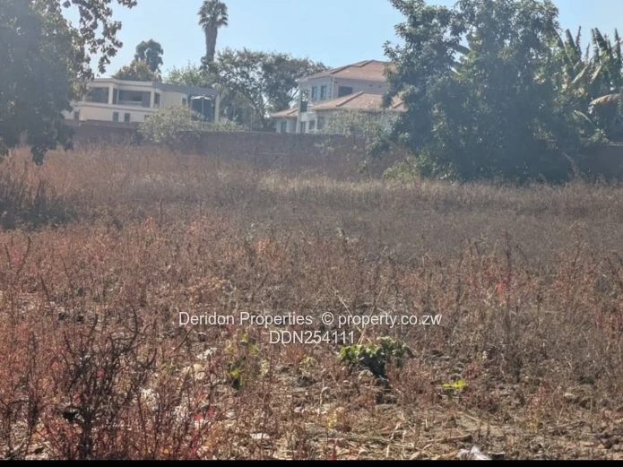Leafy 4000 m² Residential Stand — Borrowdale, Harare North