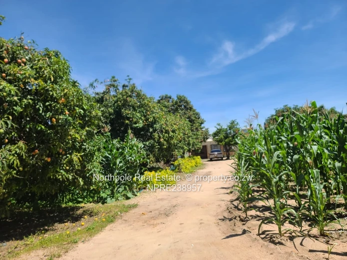 Eye Court Waterfalls Stand For Sale