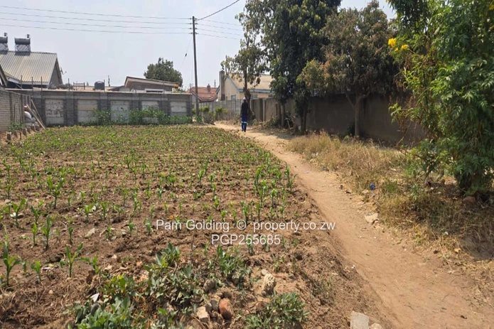 Ruwa Stands – Excellent Investment Opportunity